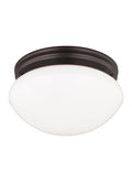 GENERATION LIGHTING, WEBSTER TWO LIGHT CEILING FLUSH MOUNT, FLUSH MOUNT CEILING LIGHTS