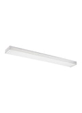 GENERATION LIGHTING, TWO LIGHT CEILING FLUSH MOUNT, FLUSH MOUNT CEILING LIGHTS