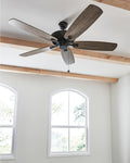 GENERATION LIGHTING, COLONY CEILING FAN, INDOOR CEILING FANS