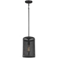 VISUAL COMFORT & CO., GEREON ONE LIGHT MINI-PENDANT, PENDANT LIGHT