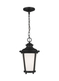 GENERATION LIGHTING, CAPE MAY ONE LIGHT OUTDOOR PENDANT, OUTDOOR CEILING LIGHTS
