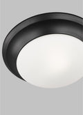 GENERATION LIGHTING, NASH ONE LIGHT CEILING FLUSH MOUNT, FLUSH MOUNT CEILING LIGHTS
