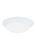 GENERATION LIGHTING, NASH TWO LIGHT CEILING FLUSH MOUNT, FLUSH MOUNT CEILING LIGHTS