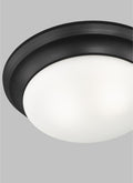 GENERATION LIGHTING, NASH TWO LIGHT CEILING FLUSH MOUNT, FLUSH MOUNT CEILING LIGHTS