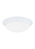 GENERATION LIGHTING, NASH TWO LIGHT CEILING FLUSH MOUNT, FLUSH MOUNT CEILING LIGHTS