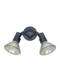 GENERATION LIGHTING, TWO LIGHT ADJUSTABLE SWIVEL FLOOD LIGHT, OUTDOOR WALL LIGHTS