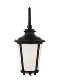GENERATION LIGHTING, CAPE MAY ONE LIGHT OUTDOOR WALL LANTERN, OUTDOOR WALL LIGHTS