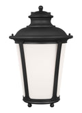 GENERATION LIGHTING, CAPE MAY ONE LIGHT OUTDOOR WALL LANTERN, OUTDOOR WALL LIGHTS
