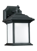 GENERATION LIGHTING, WYNFIELD ONE LIGHT OUTDOOR WALL LANTERN, OUTDOOR WALL LIGHTS
