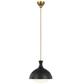 VISUAL COMFORT & CO., LUCERNE ONE LIGHT PENDANT, PENDANT LIGHT