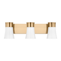VISUAL COMFORT & CO., ROY VANITY, VANITY LIGHT