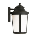 GENERATION LIGHTING, PORTOLA LANTERN, OUTDOOR WALL LIGHTS