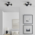 VISUAL COMFORT & CO., NODES SEMI-FLUSH MOUNT, SEMI FLUSH MOUNT LIGHT
