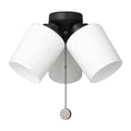 GENERATION LIGHTING WINDOM LIGHT KIT - DO NOT SHOW ON WEBSITE