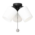 GENERATION LIGHTING WINDOM LIGHT KIT - DO NOT SHOW ON WEBSITE