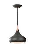 GENERATION LIGHTING, BELLE PENDANT, PENDANT LIGHT