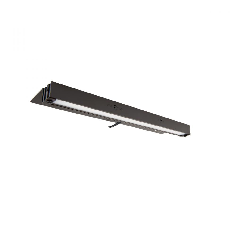 WAC LIGHTING LED LANDSCAPE HARDSCAPE 12V - DO NOT SHOW ON WEBSITE