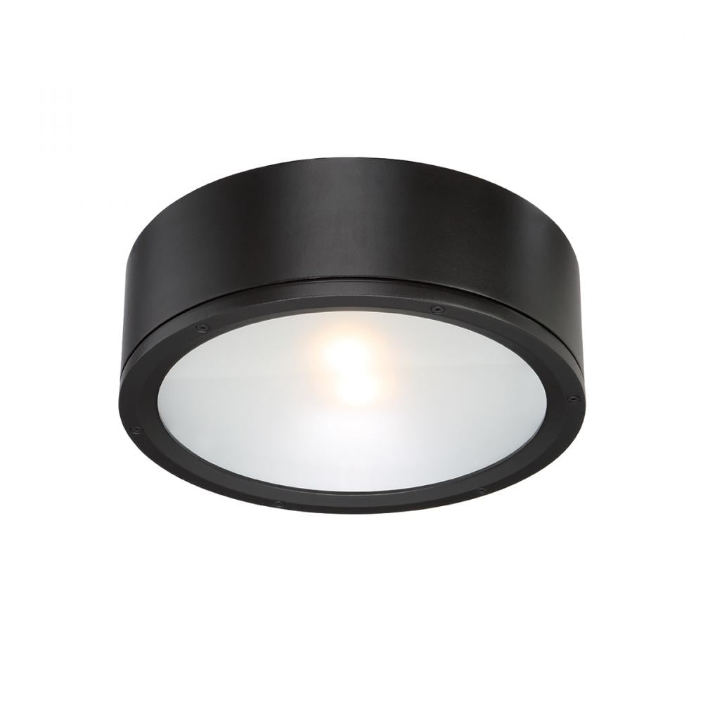WAC LIGHTING, TUBE OUTDOOR FLUSH MOUNT LIGHT, OUTDOOR CEILING LIGHTS