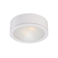 WAC LIGHTING, TUBE OUTDOOR FLUSH MOUNT LIGHT, OUTDOOR CEILING LIGHTS