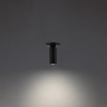 WAC LIGHTING, CALIBER OUTDOOR FLUSH MOUNT LIGHT, OUTDOOR CEILING LIGHTS