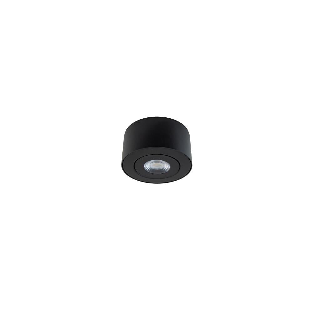 WAC LIGHTING, PEEK OUTDOOR FLUSH MOUNT LIGHT, OUTDOOR CEILING LIGHTS
