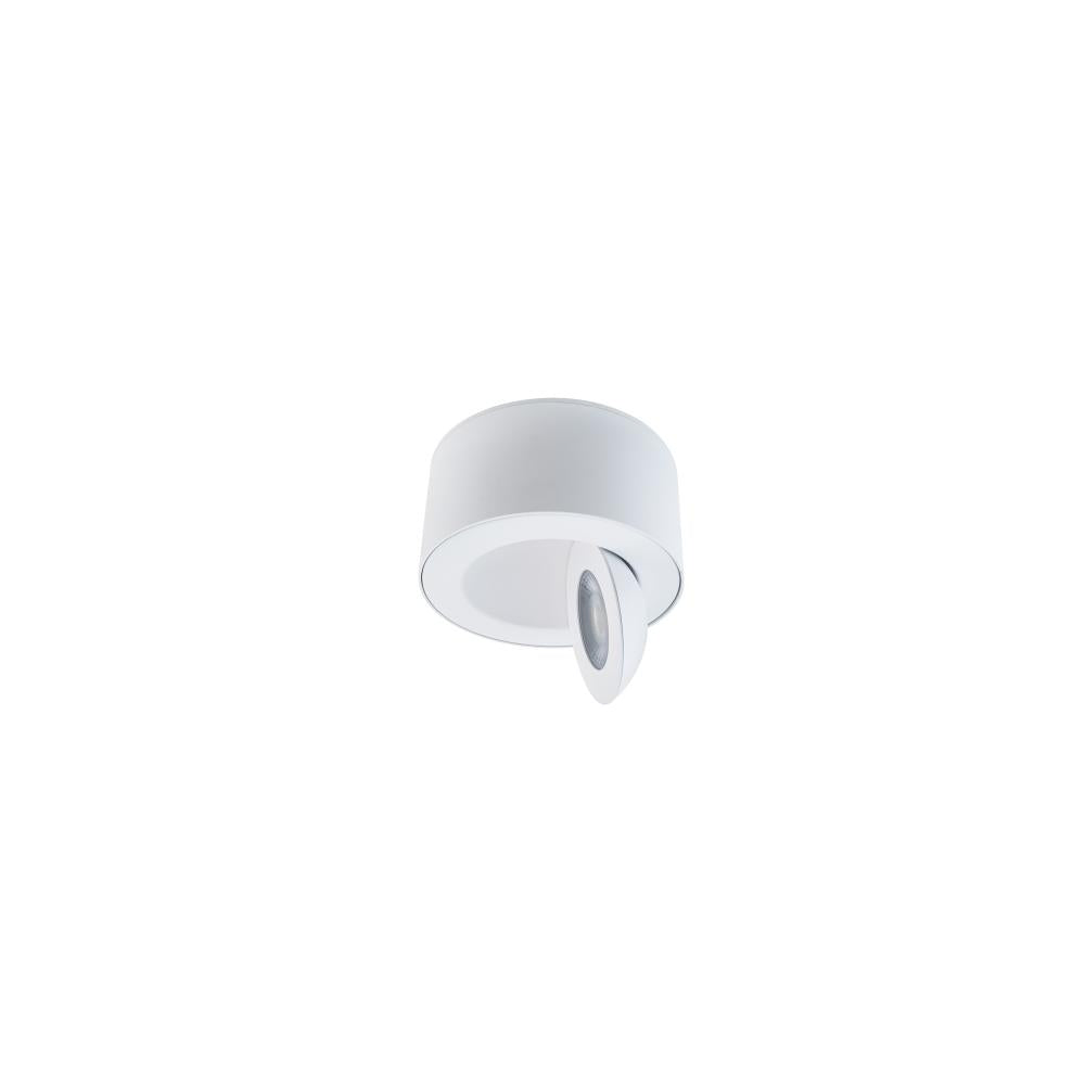 WAC LIGHTING, PEEK OUTDOOR FLUSH MOUNT LIGHT, OUTDOOR CEILING LIGHTS