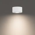 WAC LIGHTING, PEEK OUTDOOR FLUSH MOUNT LIGHT, OUTDOOR CEILING LIGHTS