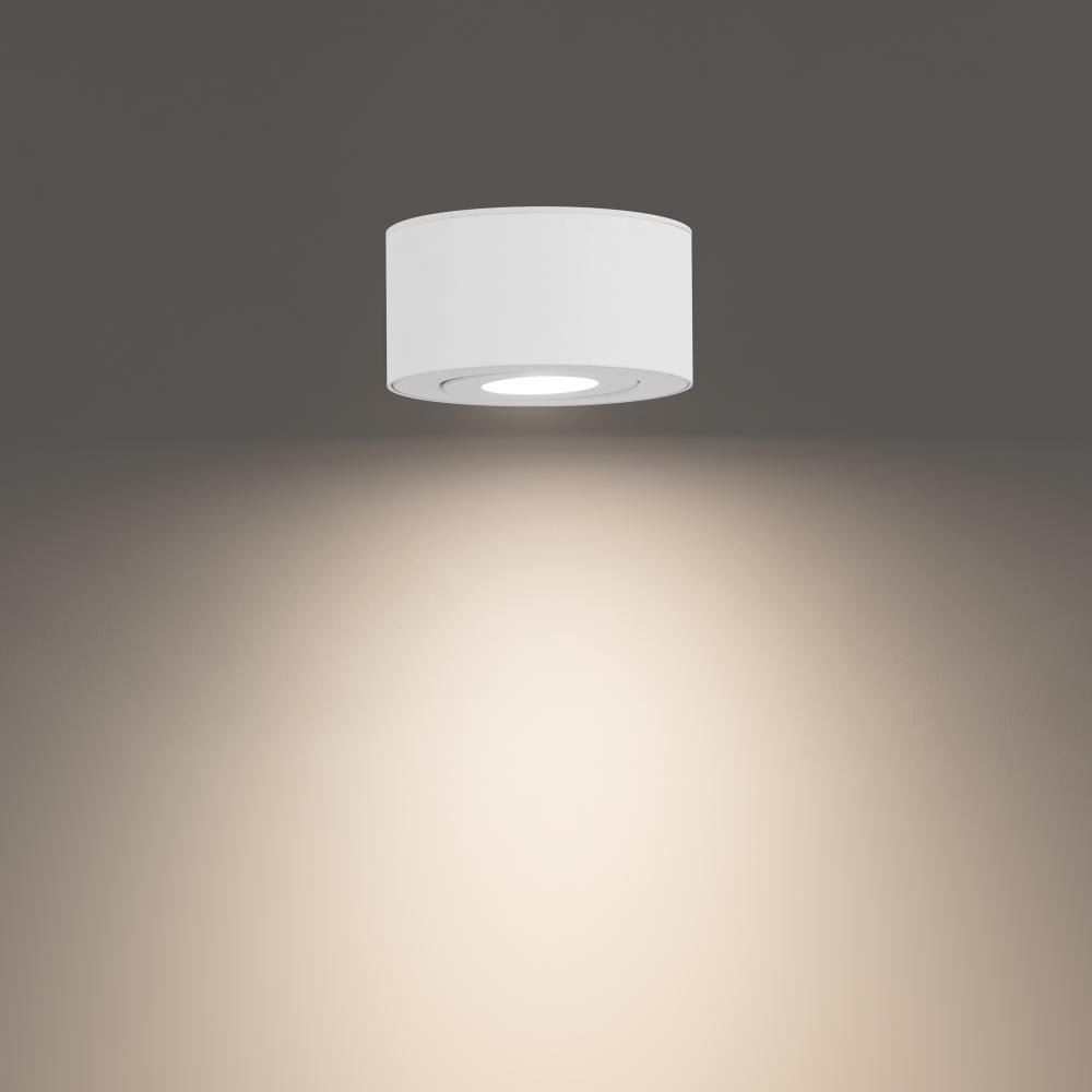WAC LIGHTING, PEEK OUTDOOR FLUSH MOUNT LIGHT, OUTDOOR CEILING LIGHTS