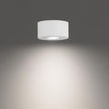 WAC LIGHTING, PEEK OUTDOOR FLUSH MOUNT LIGHT, OUTDOOR CEILING LIGHTS