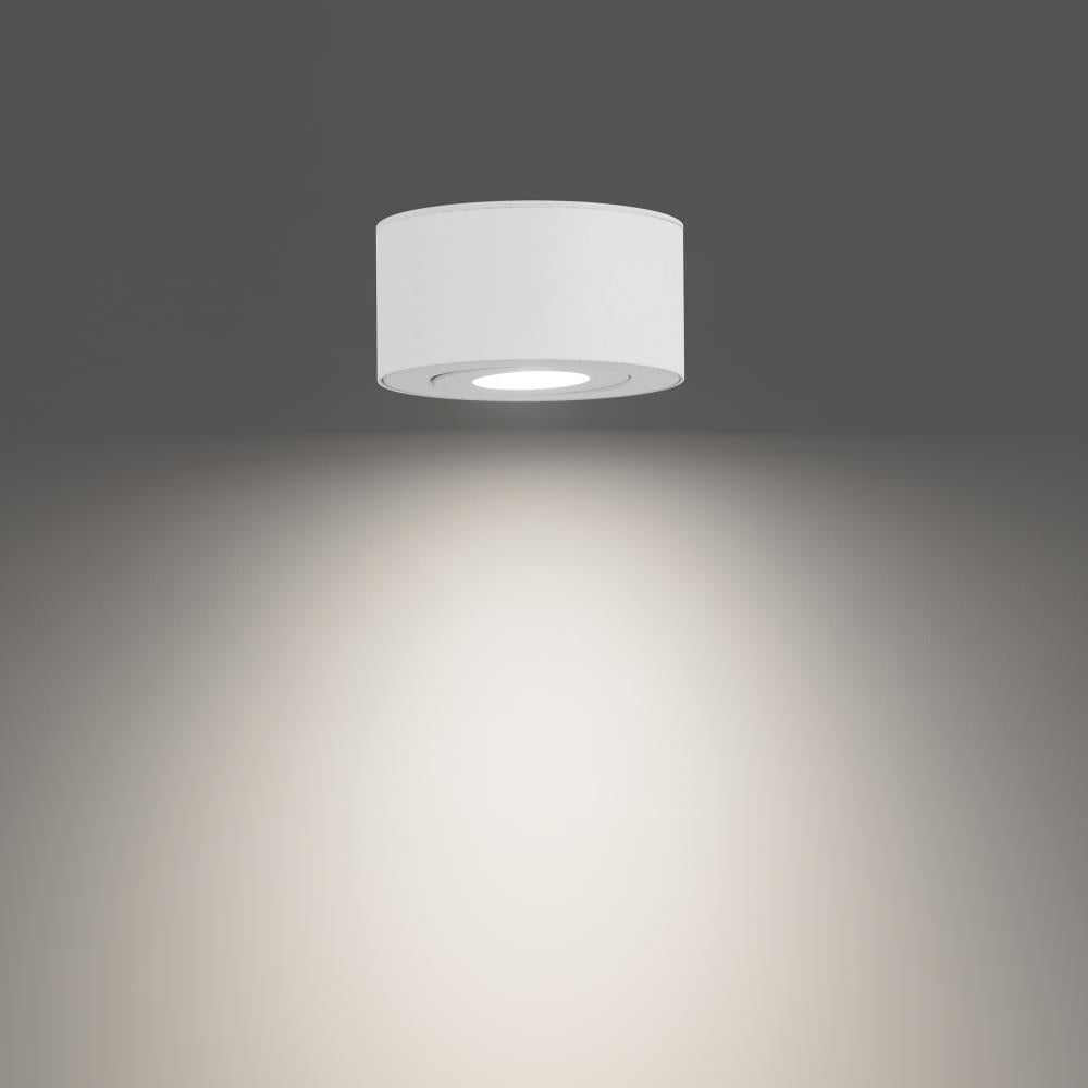 WAC LIGHTING, PEEK OUTDOOR FLUSH MOUNT LIGHT, OUTDOOR CEILING LIGHTS