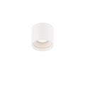 WAC LIGHTING, DOWNTOWN OUTDOOR FLUSH MOUNT LIGHT, OUTDOOR CEILING LIGHTS