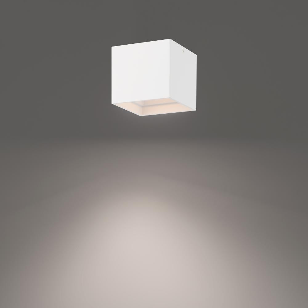WAC LIGHTING, DOWNTOWN OUTDOOR FLUSH MOUNT LIGHT, OUTDOOR CEILING LIGHTS