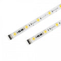WAC LIGHTING INVISILED PRO TAPE LIGHT