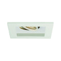 WAC LIGHTING LOW VOLTAGE MULTIPLE SINGLE LIGHT TRIM - DO NOT SHOW ON WEBSITE
