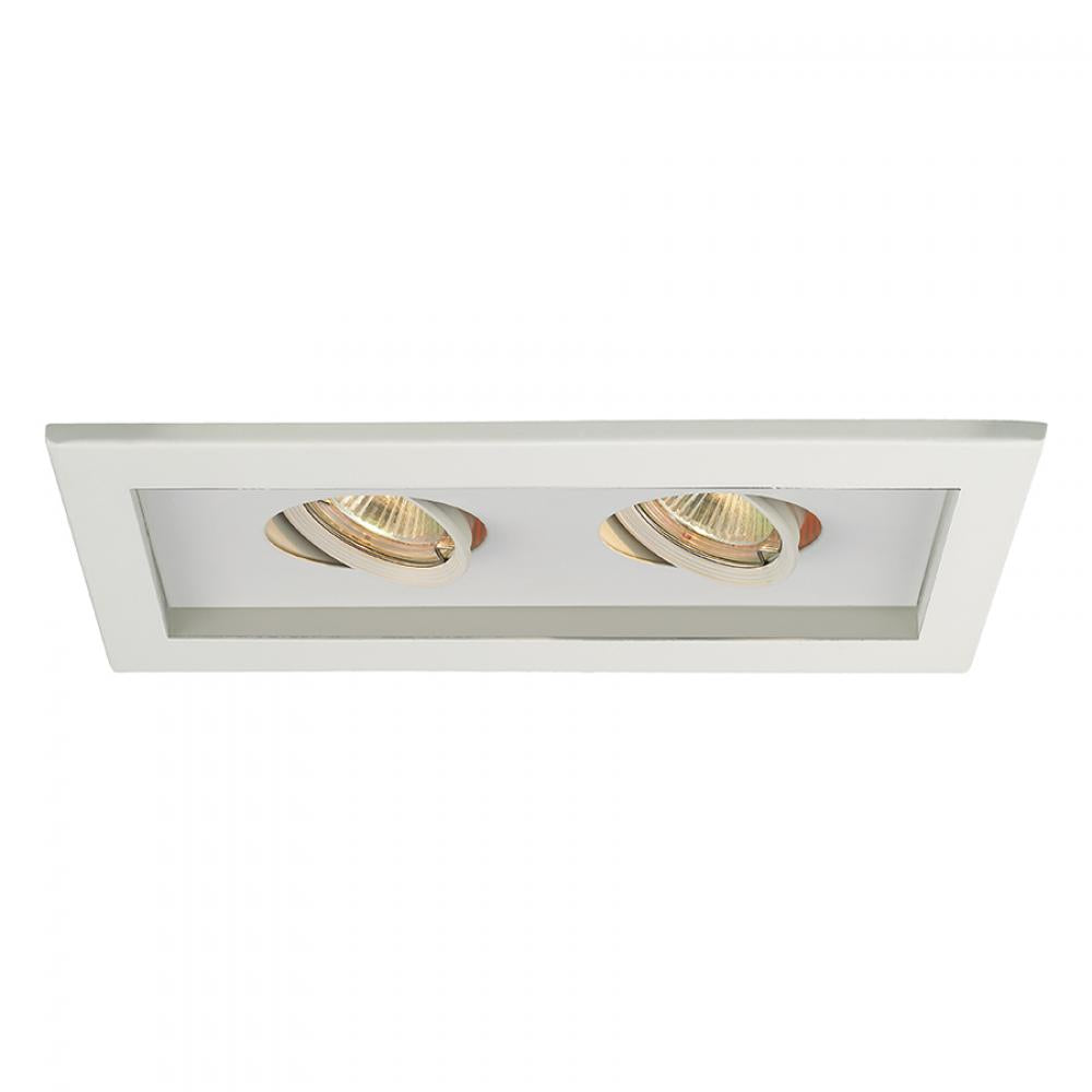 WAC LIGHTING LOW VOLTAGE MULTIPLE TWO LIGHT TRIM - DO NOT SHOW ON WEBSITE