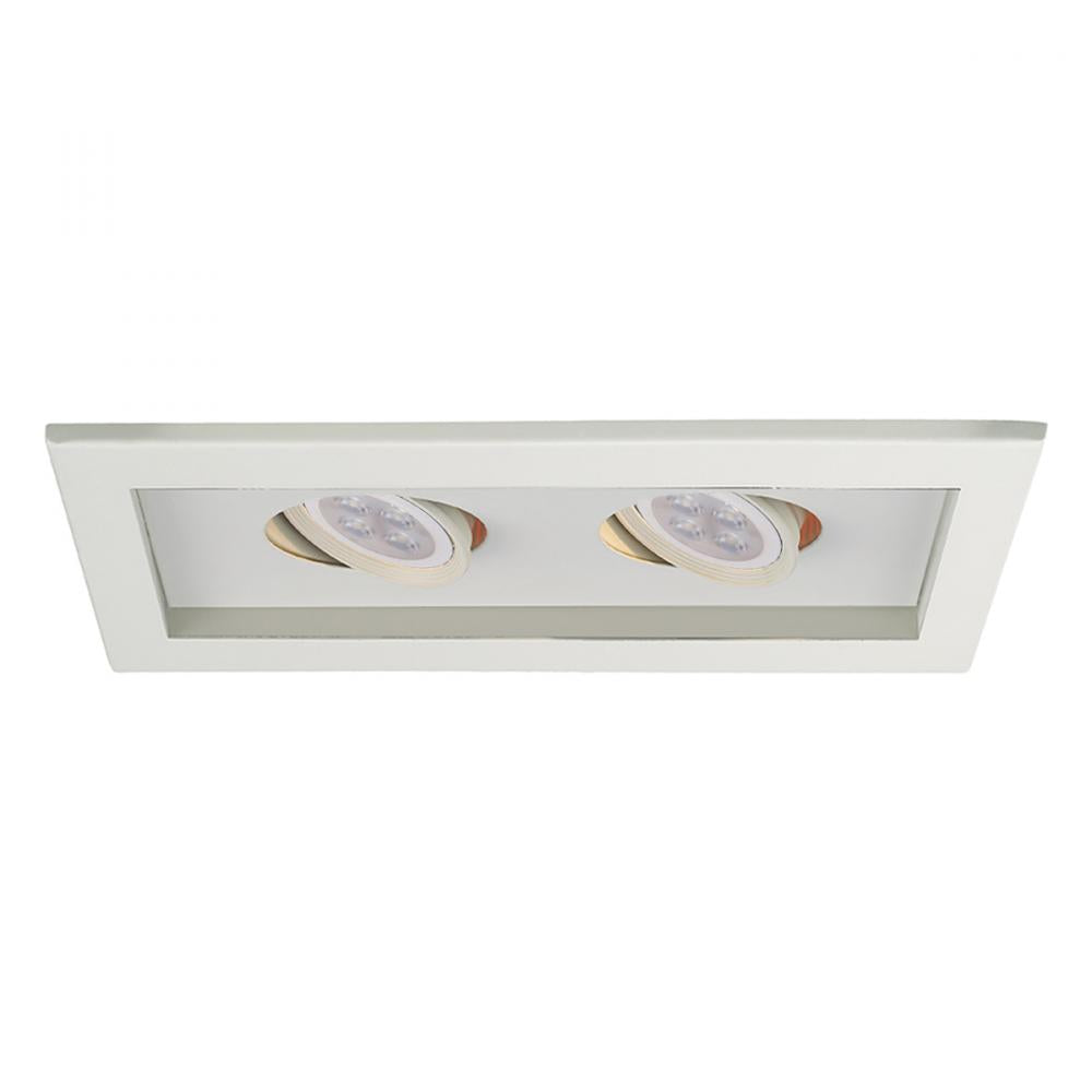 WAC LIGHTING LOW VOLTAGE MULTIPLE TWO LIGHT TRIM - DO NOT SHOW ON WEBSITE