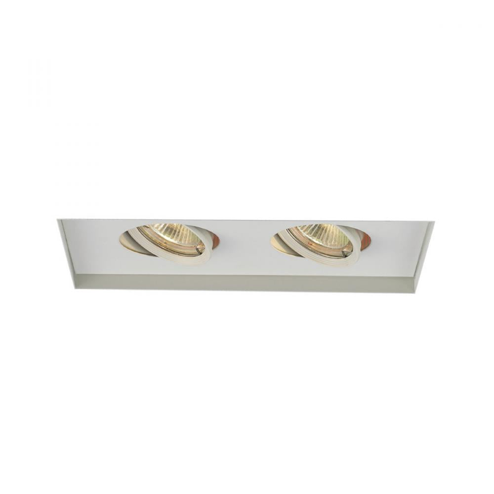 WAC LIGHTING LOW VOLTAGE MULTIPLE INVISIBLE TWO LIGHT TRIM - DO NOT SHOW ON WEBSITE