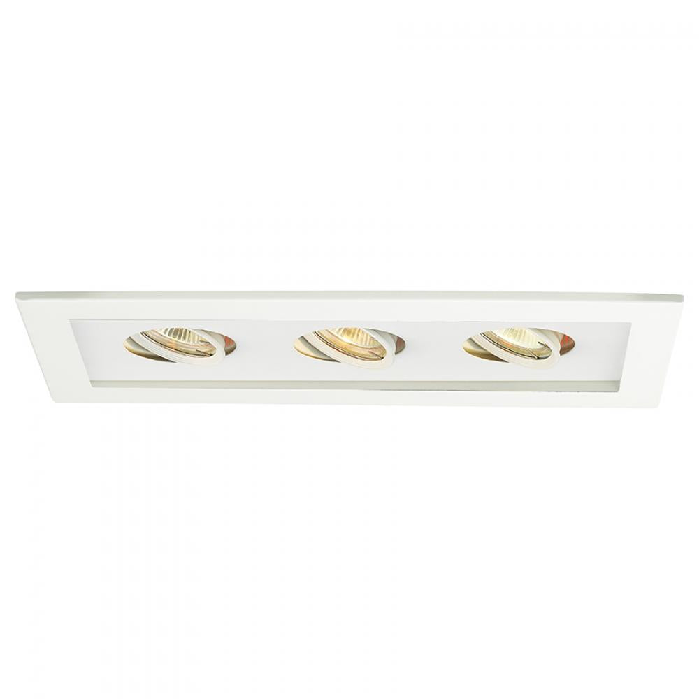 WAC LIGHTING LOW VOLTAGE MULTIPLE TWO LIGHT TRIM - DO NOT SHOW ON WEBSITE