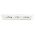 WAC LIGHTING LOW VOLTAGE MULTIPLE TWO LIGHT TRIM - DO NOT SHOW ON WEBSITE