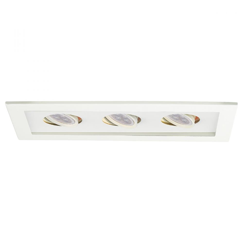 WAC LIGHTING LOW VOLTAGE MULTIPLE TWO LIGHT TRIM - DO NOT SHOW ON WEBSITE