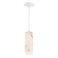 DWELED, ARAGON PENDANT LIGHT, PENDANT LIGHT