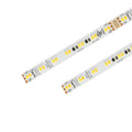 WAC LIGHTING INVISILED CCT - COLOR TEMPERATURE ADJUSTABLE LED TAPE - DO NOT SHOW ON WEBSITE