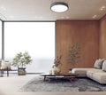 Z-LITE, MADISON FLUSH MOUNT, FLUSH MOUNT CEILING LIGHTS