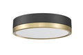 Z-LITE, ALGAR FLUSH MOUNT, FLUSH MOUNT CEILING LIGHTS