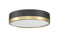 Z-LITE, ALGAR FLUSH MOUNT, FLUSH MOUNT CEILING LIGHTS 