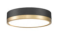 Z-LITE, ALGAR FLUSH MOUNT, FLUSH MOUNT CEILING LIGHTS
