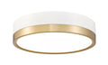 Z-LITE, ALGAR FLUSH MOUNT, FLUSH MOUNT CEILING LIGHTS