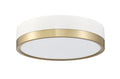 Z-LITE, ALGAR FLUSH MOUNT, FLUSH MOUNT CEILING LIGHTS 