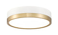 Z-LITE, ALGAR FLUSH MOUNT, FLUSH MOUNT CEILING LIGHTS 
