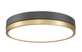 Z-LITE, ALGAR FLUSH MOUNT, FLUSH MOUNT CEILING LIGHTS